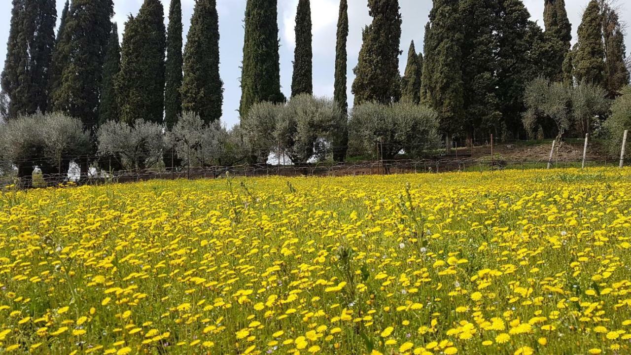Villa Dei Cipressi Wine Resort Sona Buitenkant foto
